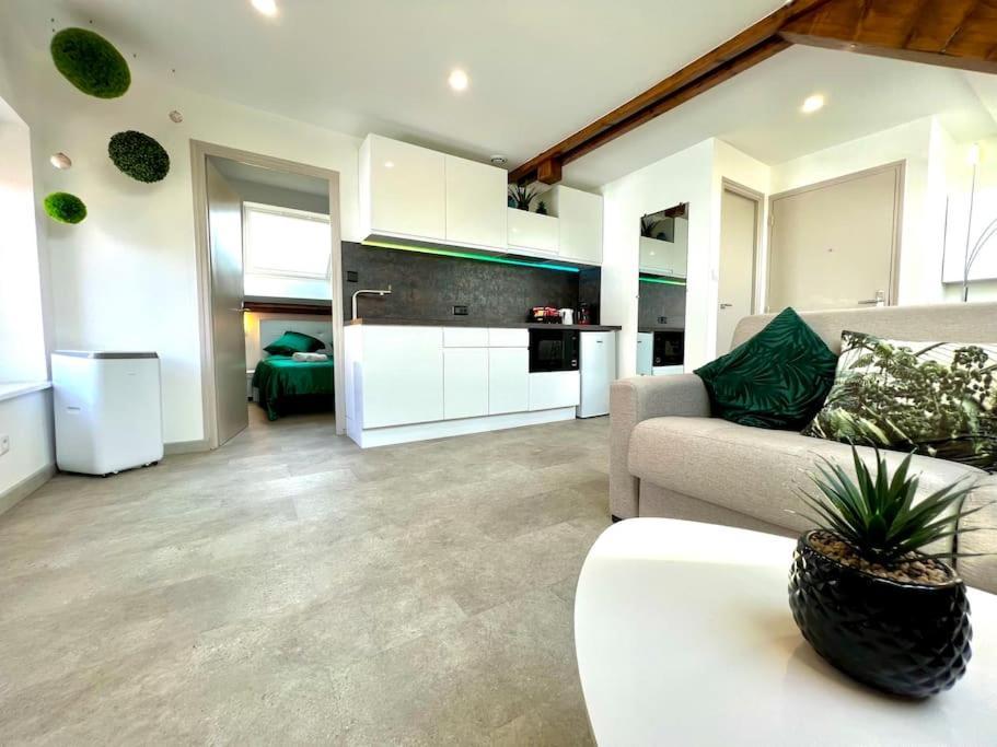Natural Suite - Proche Gare - 4P Belfort Bagian luar foto